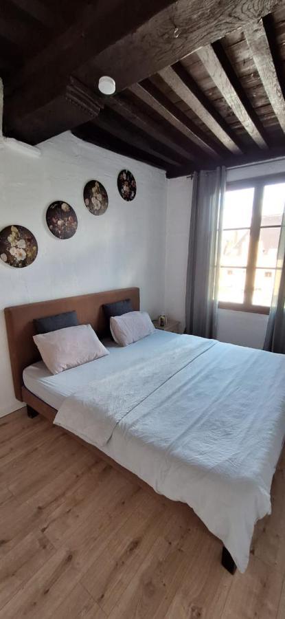 The 16Th Century 2Br Apartment In The City Center Anversa Esterno foto